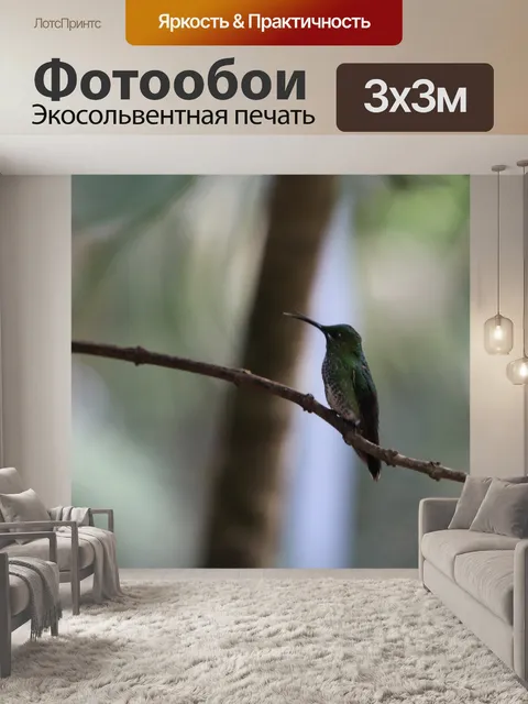 Фотообои Коста-Рика Колибри