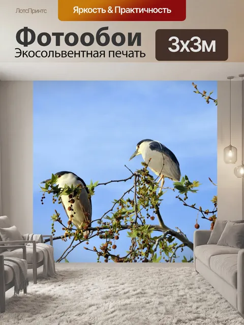 Фотообои Ночные Цапли в дереве