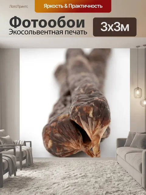Фотообои Африканец