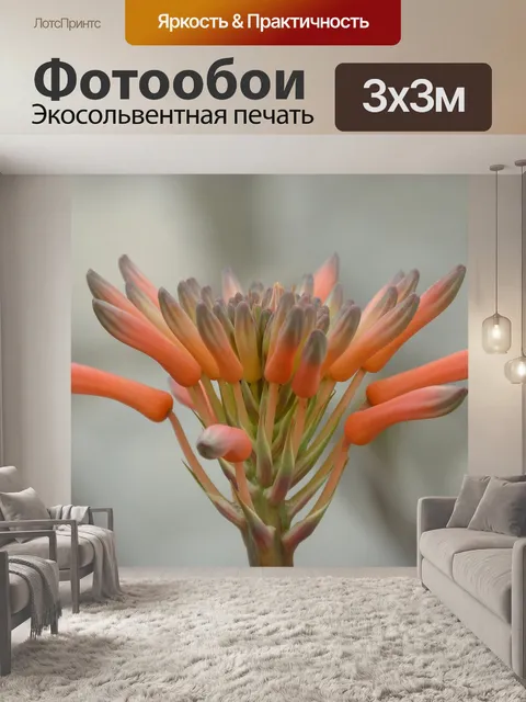 Фотообои Цветок