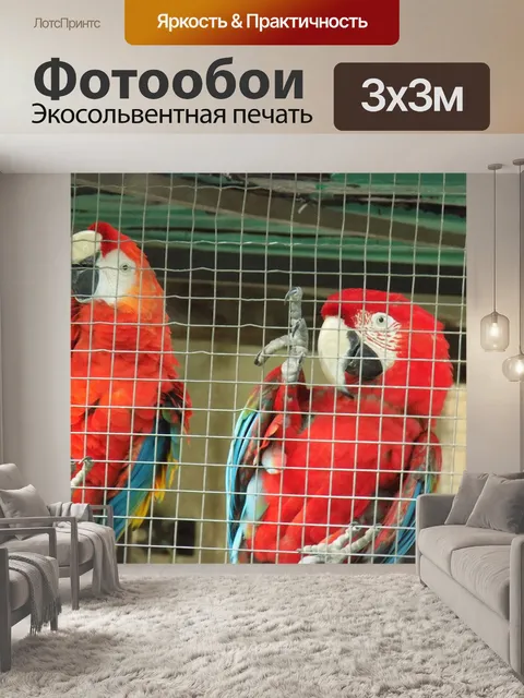 Фотообои Птицы
