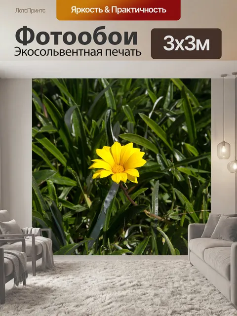 Фотообои Фон зеленых листьев с Daisy
