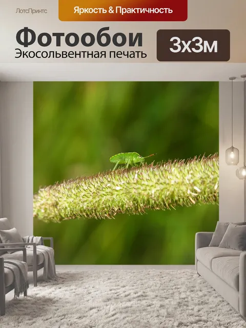 Фотообои Ошибка