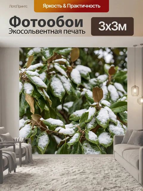 Фотообои Листья
