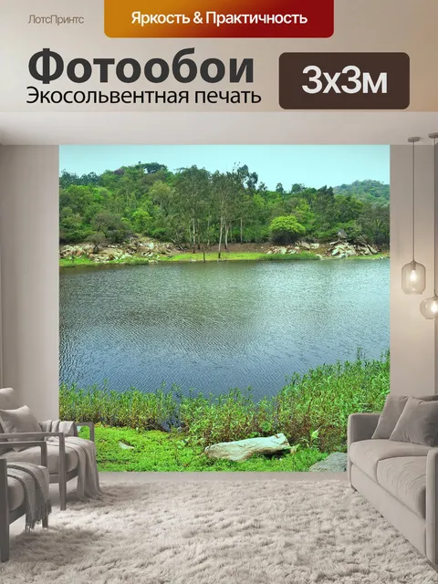 Фотообои Лес пруд