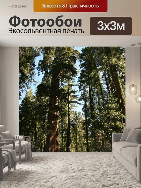 Фотообои Гигантские секвойи в Йосемити