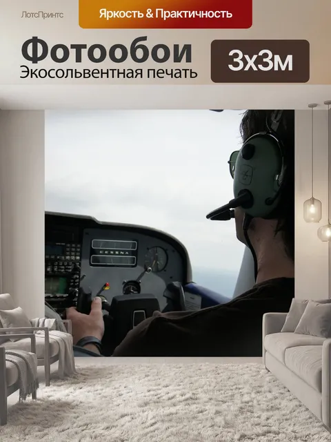 Фотообои Пилот