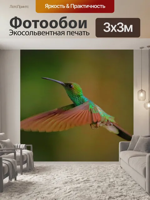 Фотообои Колибри