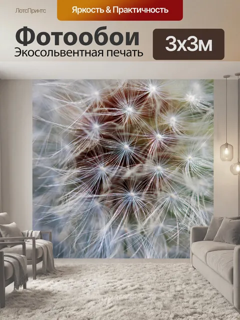 Фотообои пучки семян одуванчика на одуванчике