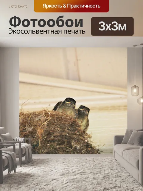 Фотообои Две птенцы в гнезде