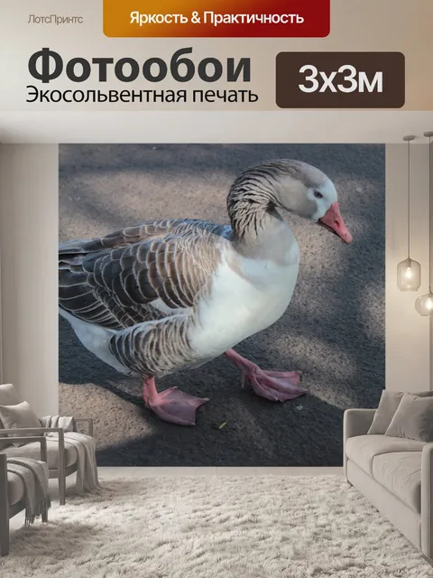 Фотообои Гусь