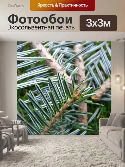 Фотообои Еловая ветка