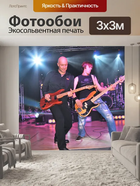 Фотообои В концертном VII