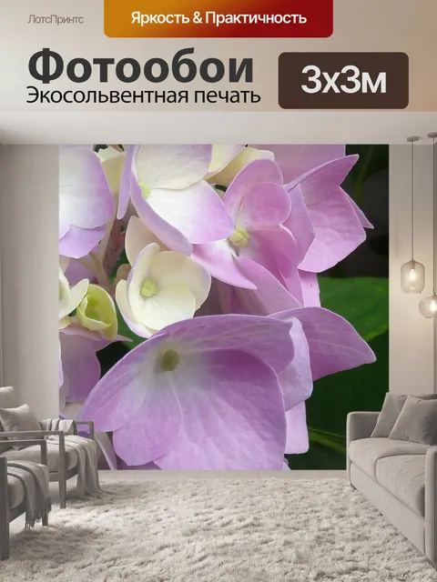 Фотообои Фиолетовые цветы