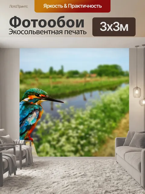 Фотообои Kingfisher Bird