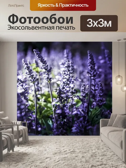 Фотообои Лаванда