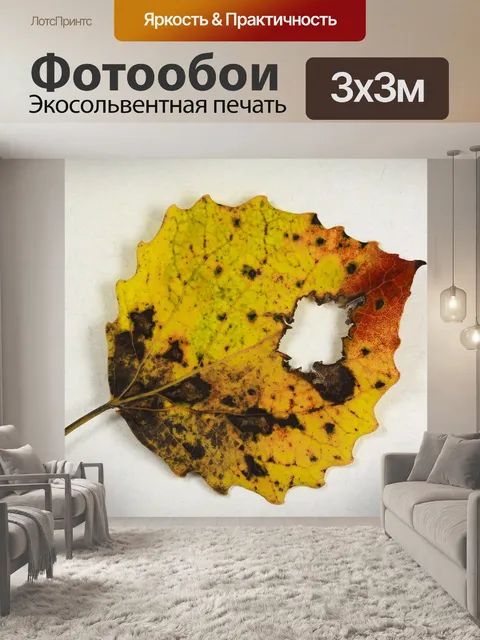 Фотообои Осина
