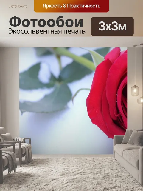 Фотообои Красная роза в снегу