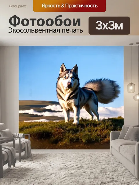Фотообои на высоком лугу, утопающем в голубых тонких тенях заката, величественный хаски с ярко синими глазами стоит…