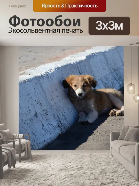 Фотообои Щенок