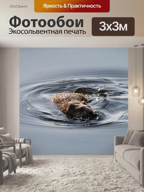Фотообои Ондатра