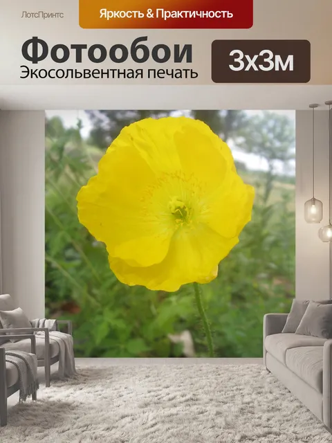 Фотообои Желтый мак
