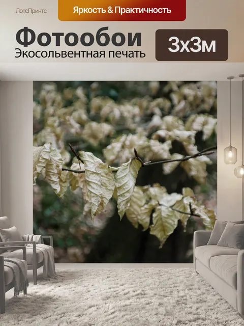Фотообои Осенние листья