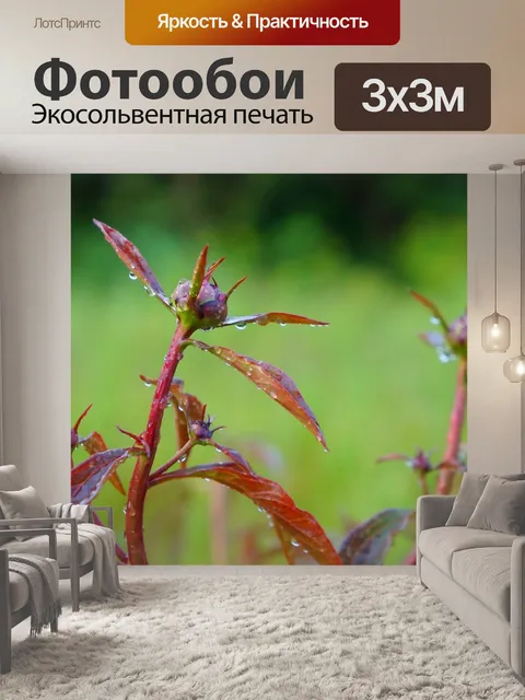 Фотообои Природа
