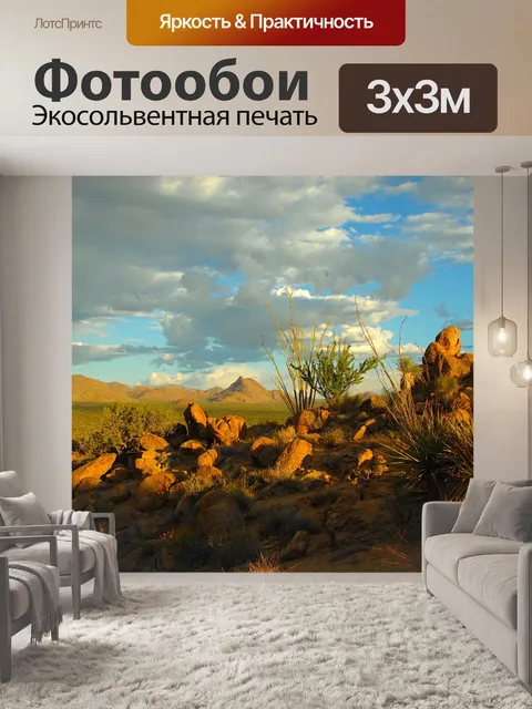 Фотообои Пустыня Соноран