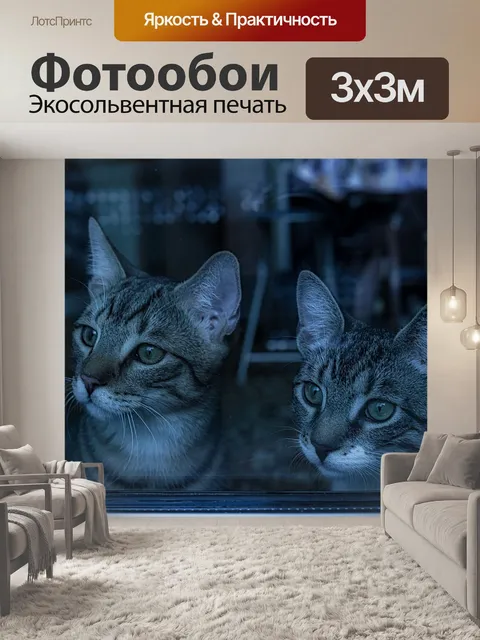 Фотообои Похмелье