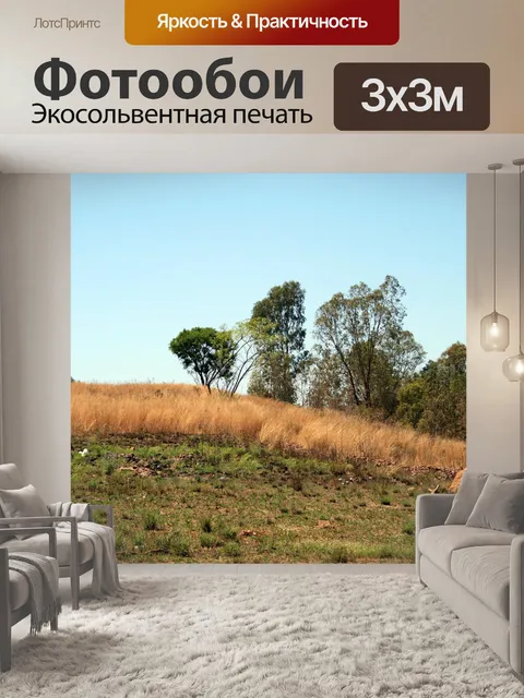 Фотообои высокие деревья в вельда