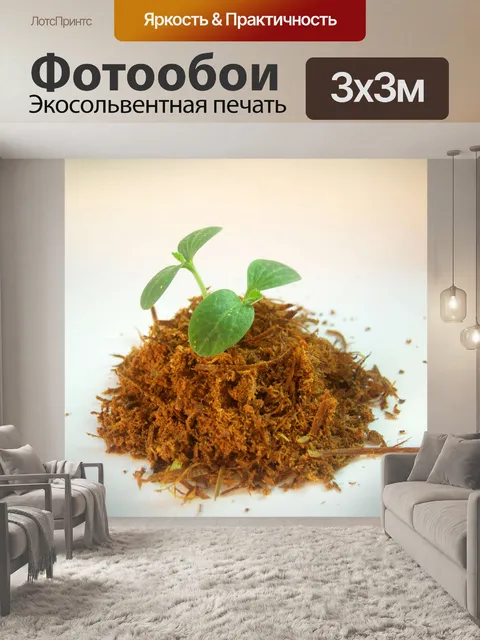 Фотообои Молодое дерево