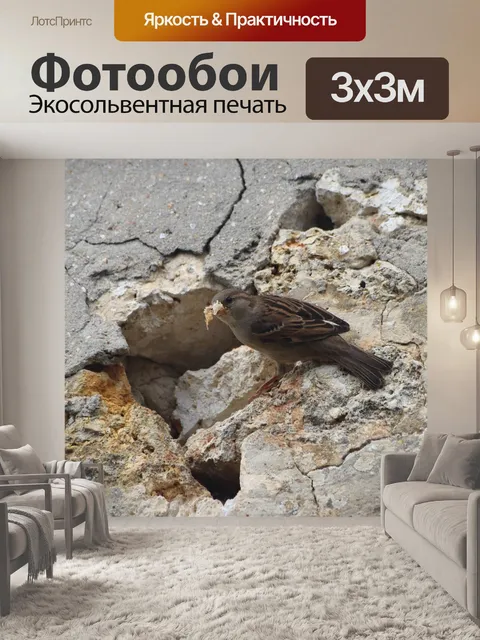 Фотообои Воробей