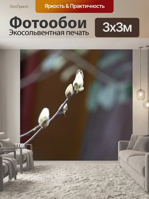 Фотообои Цветы