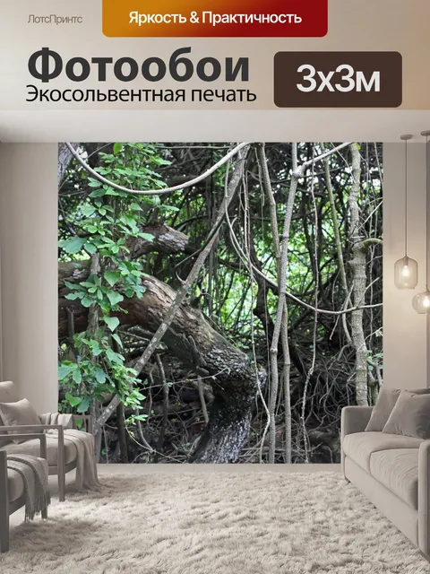 Фотообои растительность на фоне серых ветвей