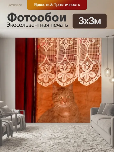 Фотообои Окно