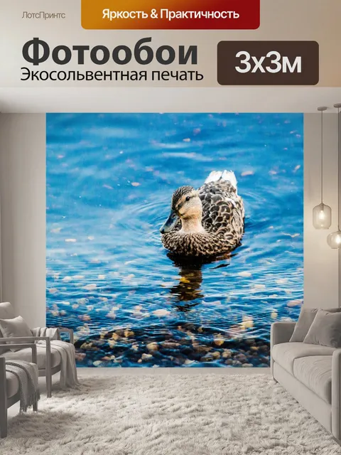 Фотообои Утка