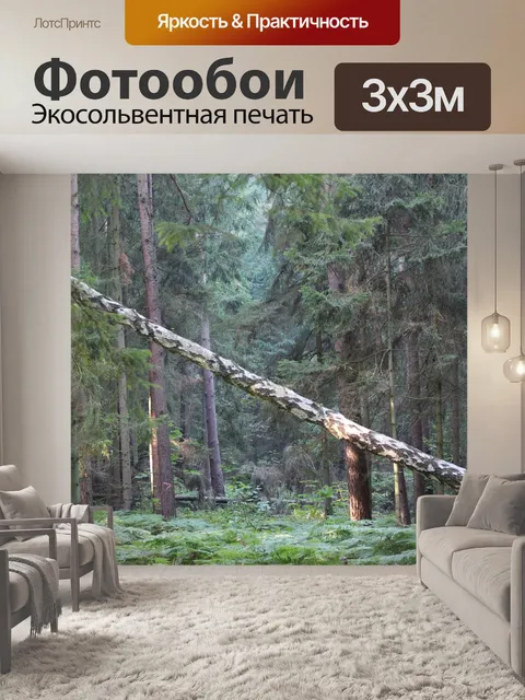 Фотообои Лес
