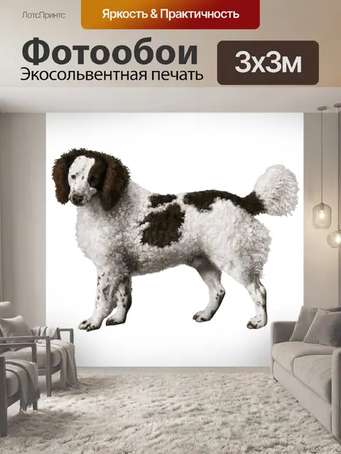 Фотообои Винтажная живопись пуделя