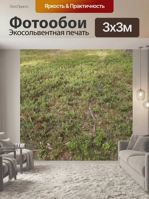 Фотообои Лес