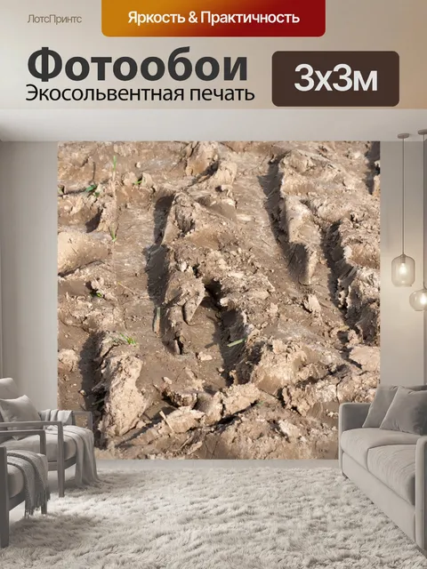 Фотообои Засохшей грязью