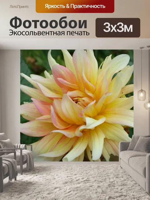 Фотообои Цветок