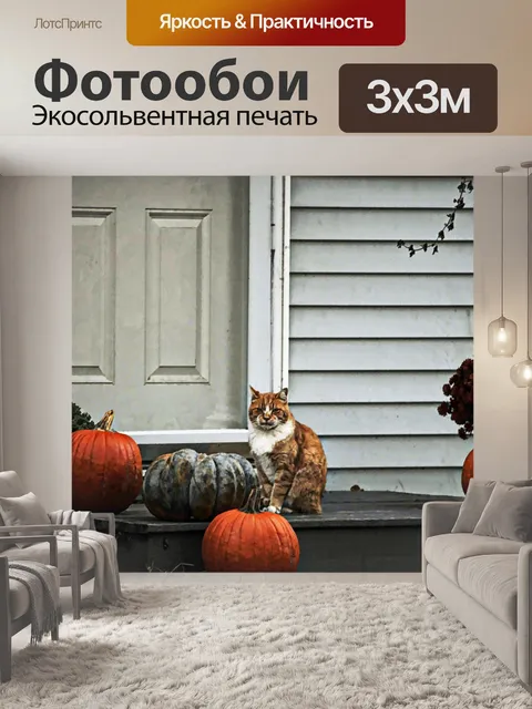 Фотообои Кот и тыквы