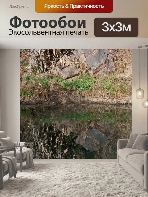 Фотообои увядшее сухое гигантское растение стрели