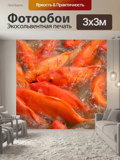Фотообои Рыбы