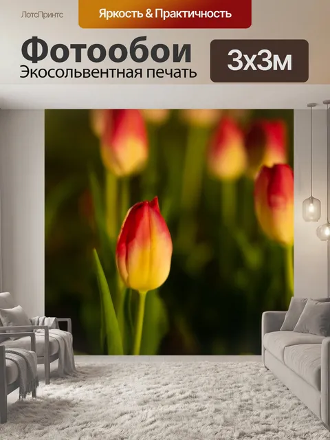 Фотообои Тюльпан
