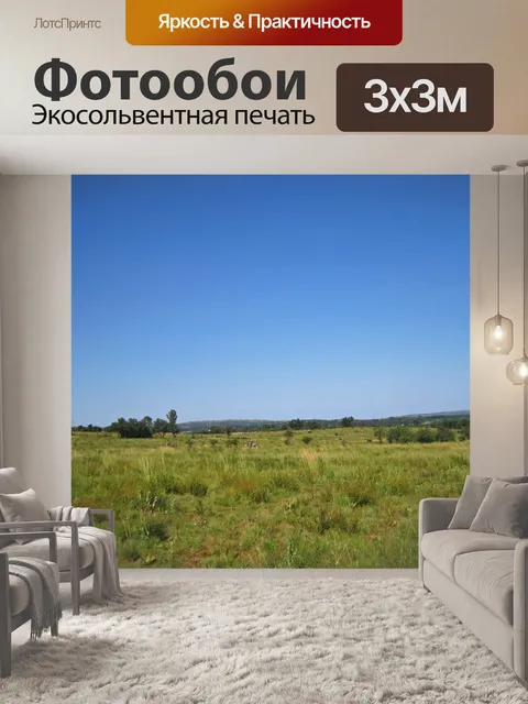 Фотообои зебра стоит на зеленом луге