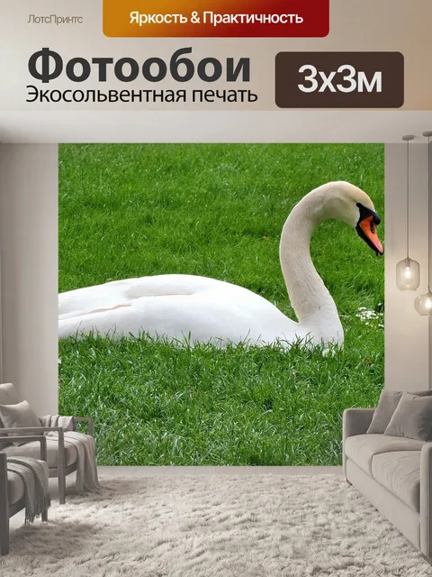 Фотообои Немой лебедь