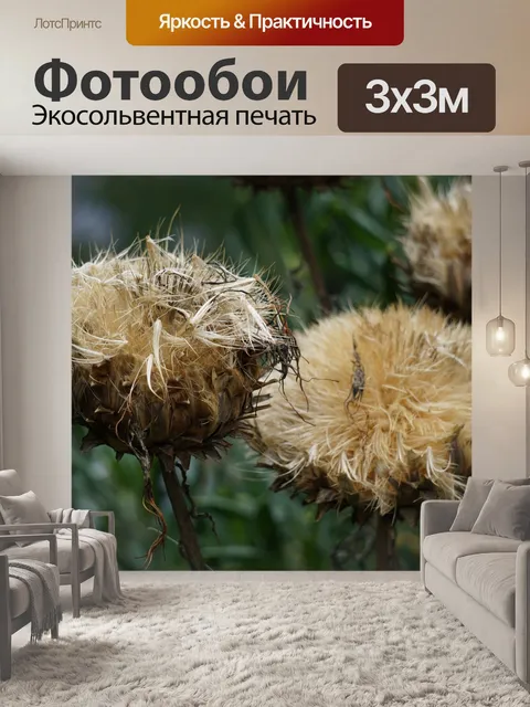 Фотообои Метелки артишока