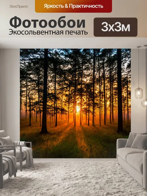 Фотообои градиент лесного заката